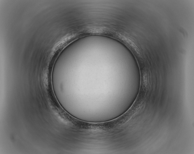 X0000115260682200911131747