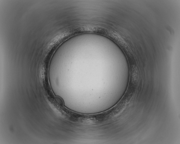 X0000115260683200911131747