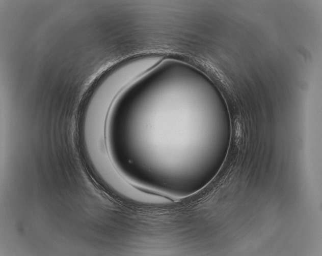 X0000115260684200911131747