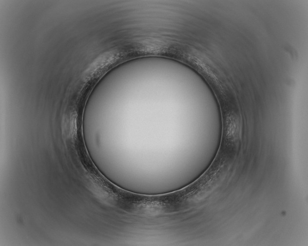 X0000115260685200911131747