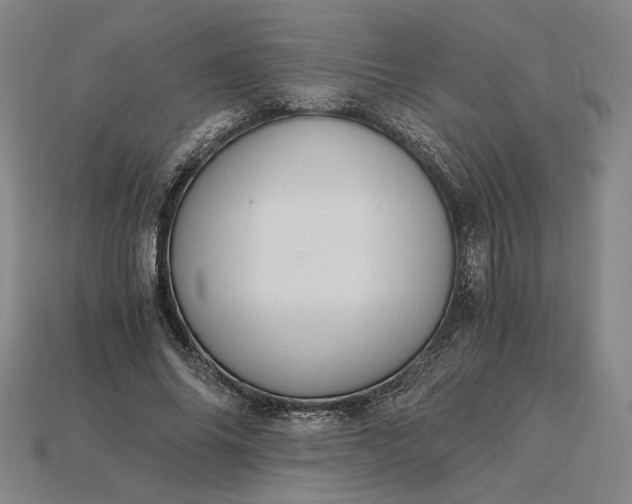 X0000115260686200911131747