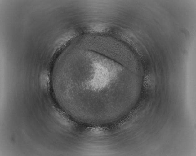 X0000115260688200911131747
