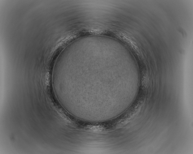X0000115260689200911131747