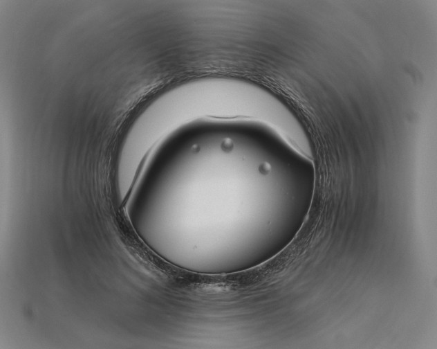 X0000115260692200911131746