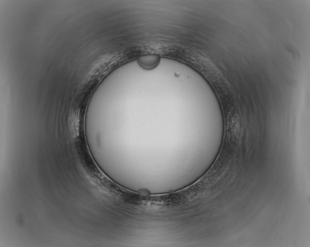 X0000115260694200911131746