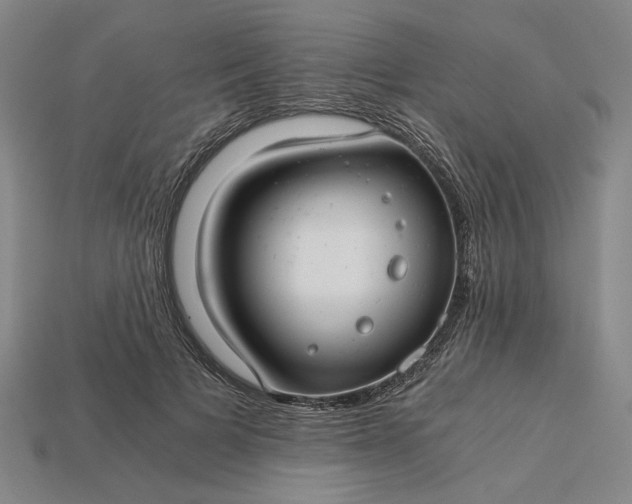X0000115260697200911131746