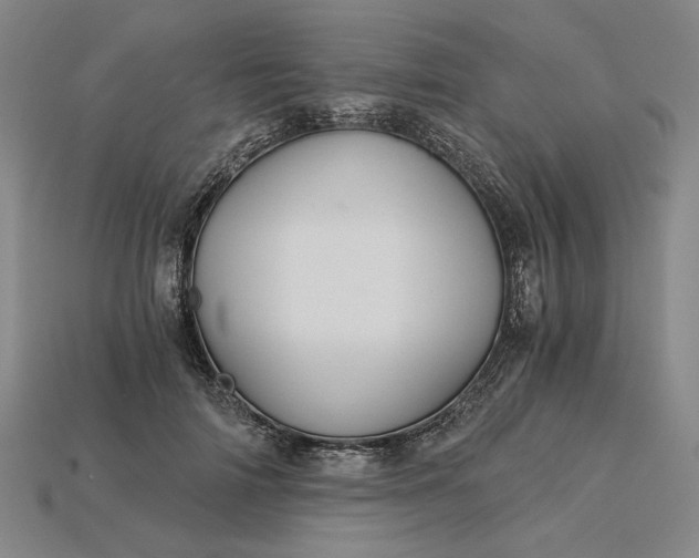 X0000115260698200911131746