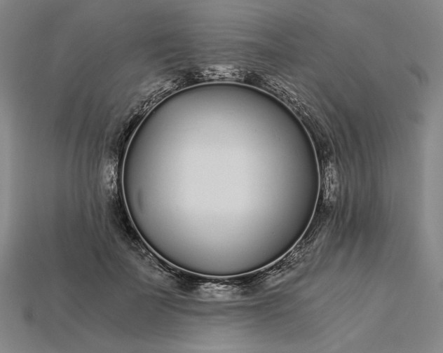X0000115260699200911131746