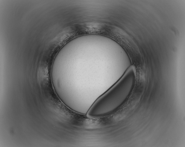 X0000115260700200911131746