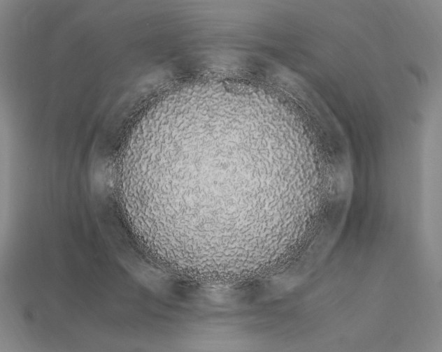X0000115260701200911131746