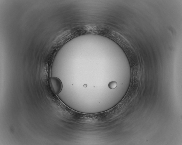 X0000115260702200911131746