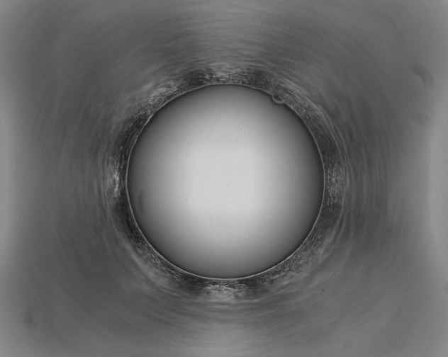 X0000115260703200911131746