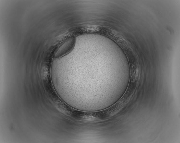X0000115260704200911131746