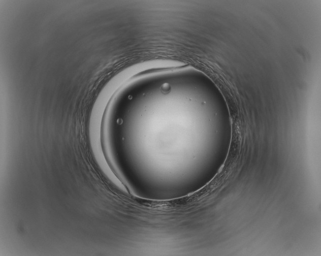 X0000115260705200911131746