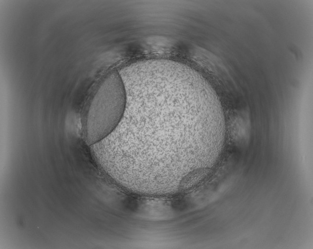 X0000115260709200911131746