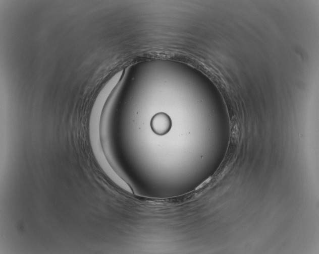X0000115260713200911131746