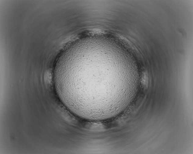 X0000115260715200911131746