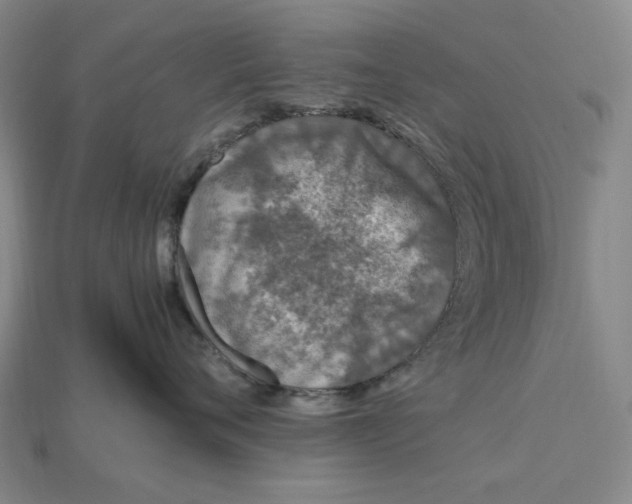 X0000115260720200911131746