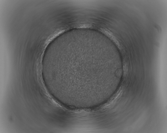 X0000115260721200911131746