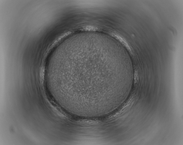 X0000115260722200911131746