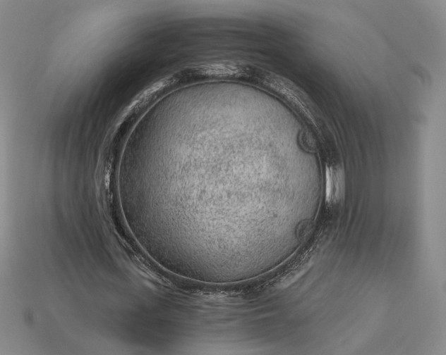 X0000115260723200911131746