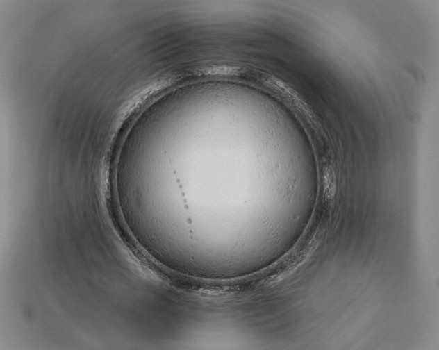 X0000115260725200911131746