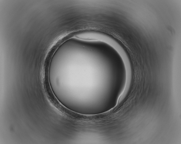 X0000115260726200911131746