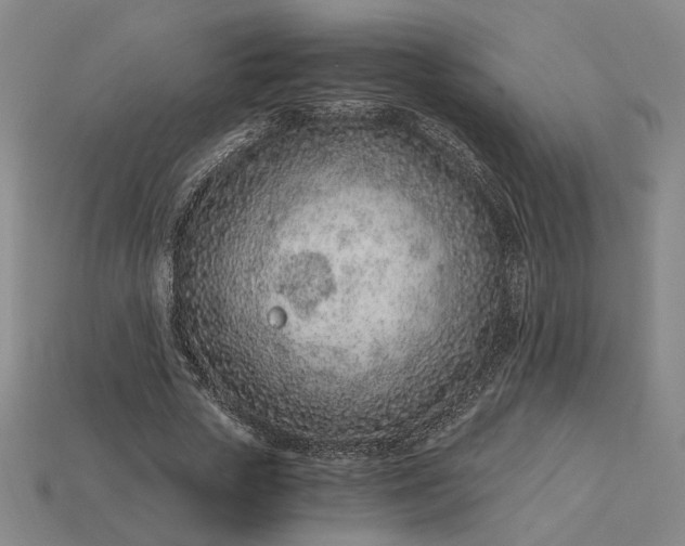 X0000115260729200911131746