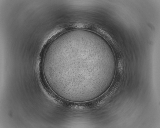 X0000115260730200911131746