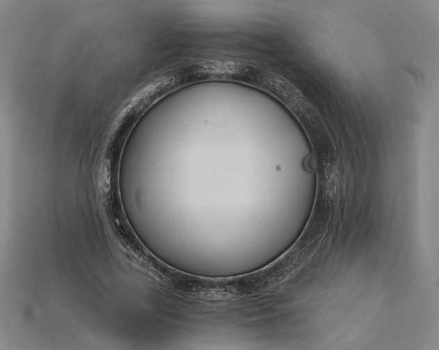 X0000115260731200911131746