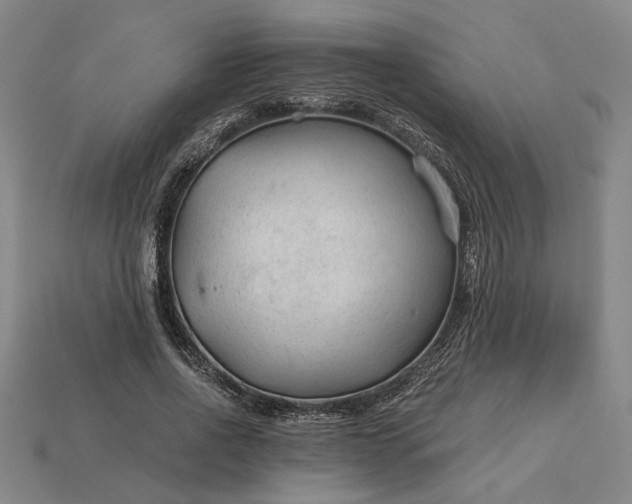 X0000115260734200911131746