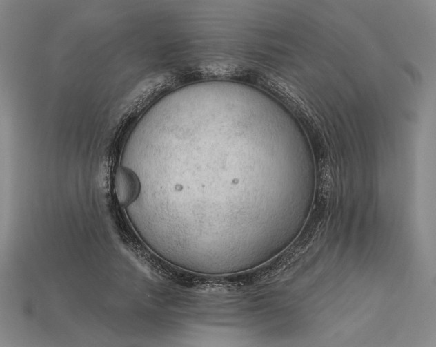 X0000115260738200911131746