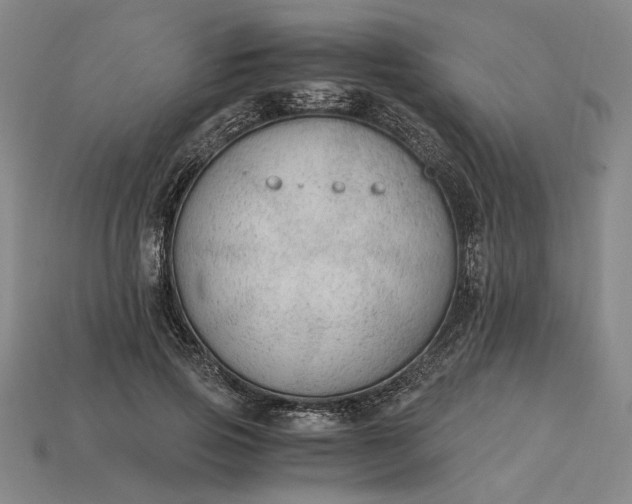 X0000115260741200911131746