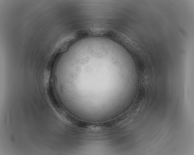 X0000115260742200911131746