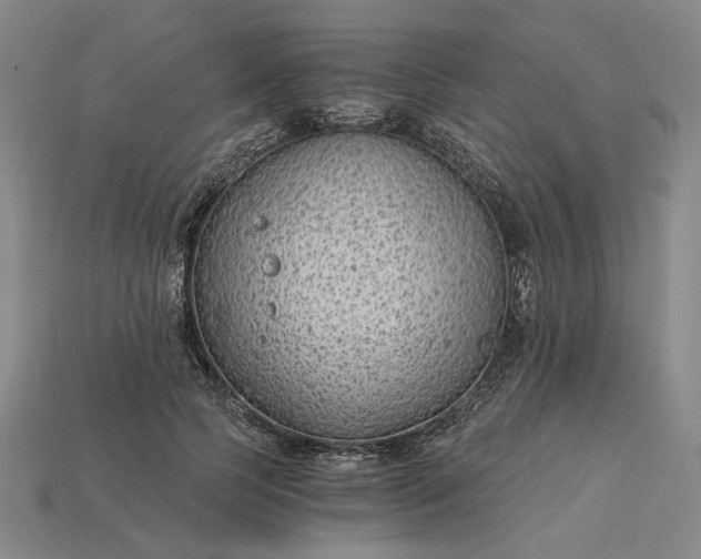 X0000115260745200911131746