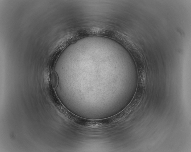 X0000115260746200911131746