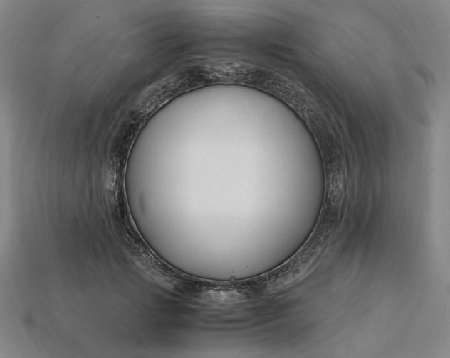 X0000115260749200911131746