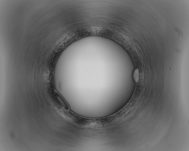 X0000115260750200911131746