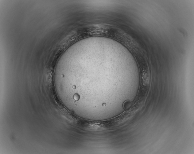 X0000115260753200911131746