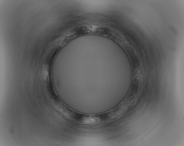 X0000115260754200911131746