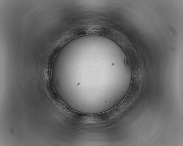 X0000115260755200911131746