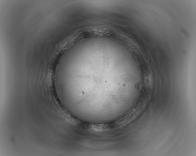 X0000115260757200911131746