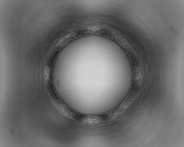 X0000115260758200911131746