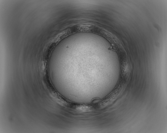 X0000115260759200911131746
