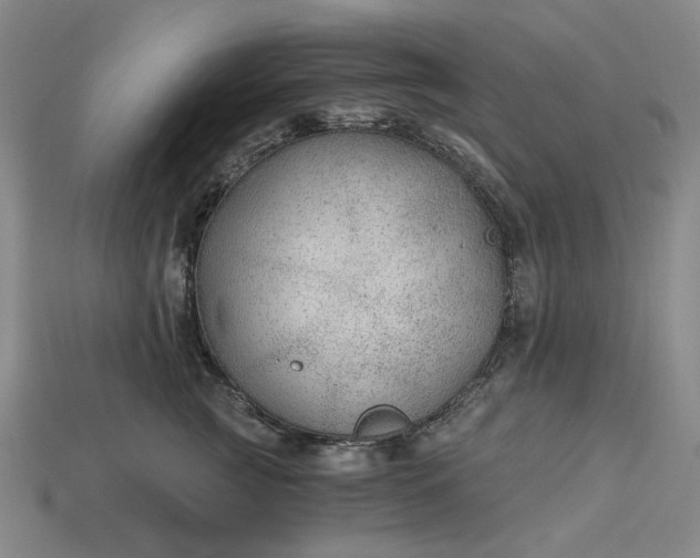 X0000115260761200911131746
