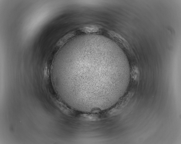 X0000115260763200911131746