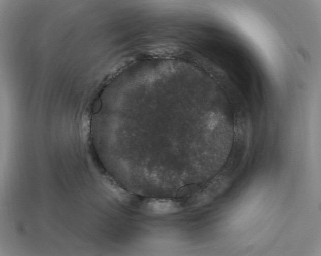 X0000115260767200911131746
