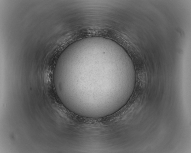 X0000115260770200911131745