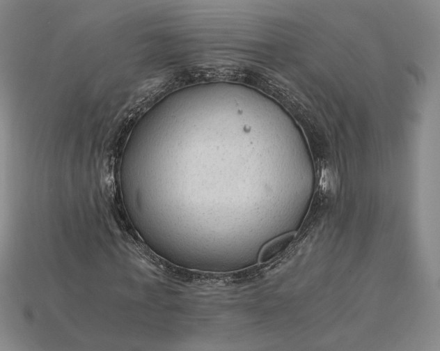 X0000115260771200911131745
