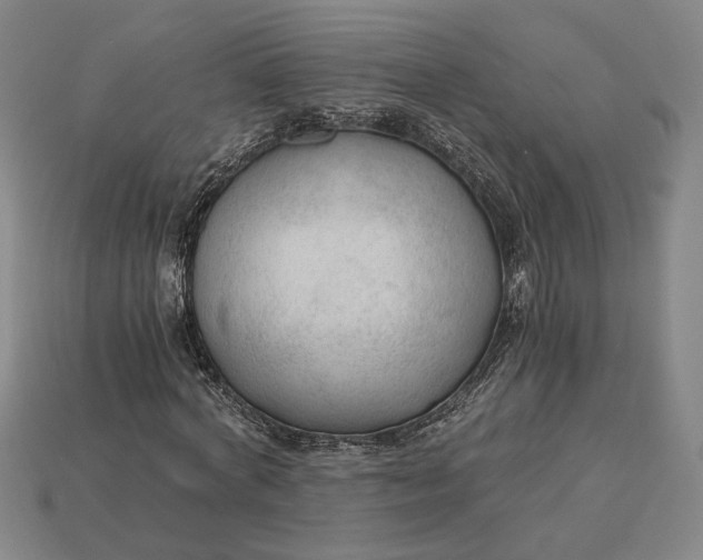 X0000115260772200911131745